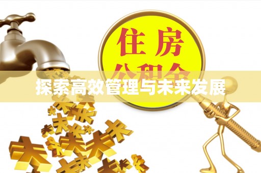 衡南探索高效管理与未来发展