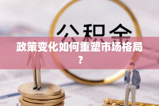 衡南政策变化如何重塑市场格局？
