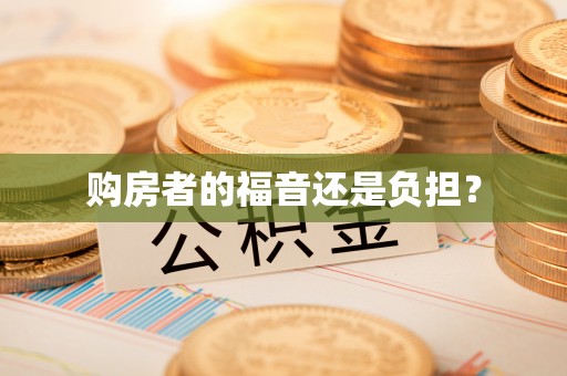 衡南购房者的福音还是负担？