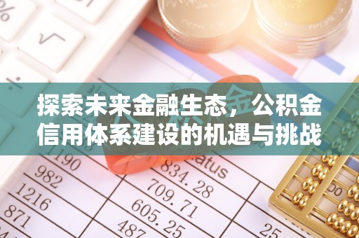 衡南探索未来金融生态，公积金信用体系建设的机遇与挑战