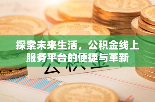 衡南探索未来生活，公积金线上服务平台的便捷与革新