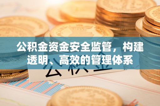 衡南公积金资金安全监管，构建透明、高效的管理体系