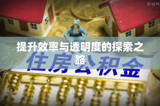 衡南提升效率与透明度的探索之路