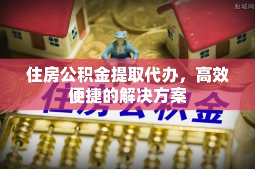 衡南住房公积金提取代办，高效便捷的解决方案