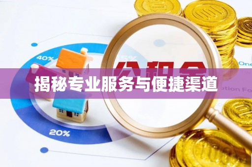 衡南揭秘专业服务与便捷渠道