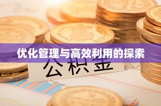 衡南优化管理与高效利用的探索