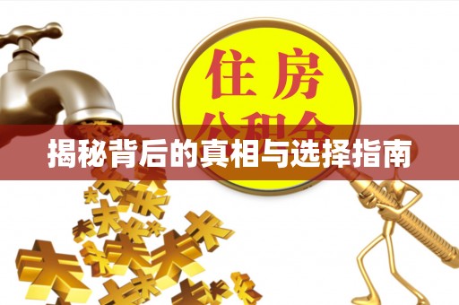 衡南揭秘背后的真相与选择指南