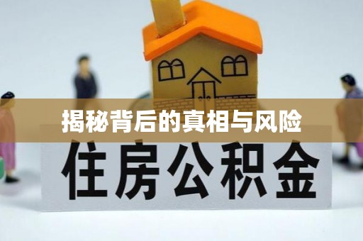 衡南揭秘背后的真相与风险