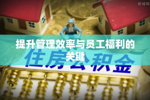 衡南提升管理效率与员工福利的关键