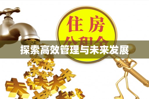 衡南探索高效管理与未来发展