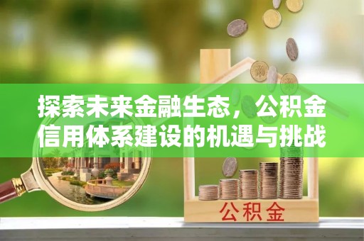衡南探索未来金融生态，公积金信用体系建设的机遇与挑战