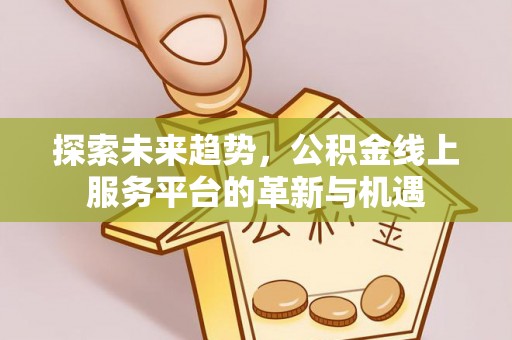 衡南探索未来趋势，公积金线上服务平台的革新与机遇