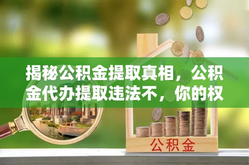 衡南揭秘公积金提取真相，公积金代办提取违法不，你的权益如何保障？