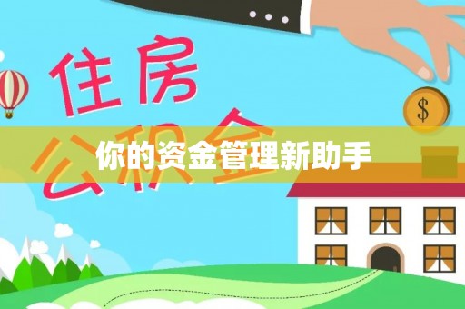 衡南你的资金管理新助手