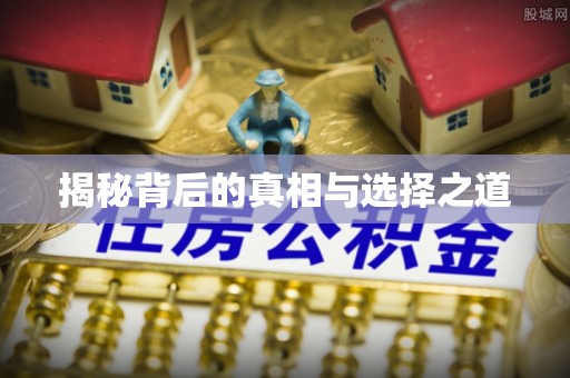 衡南揭秘背后的真相与选择之道