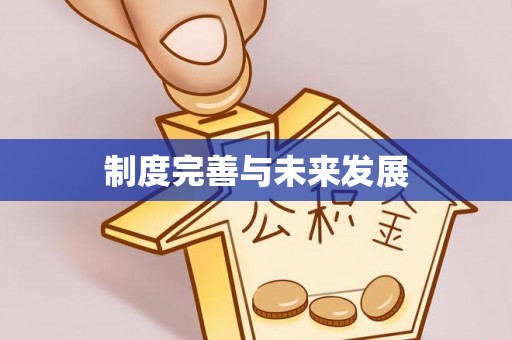 衡南制度完善与未来发展