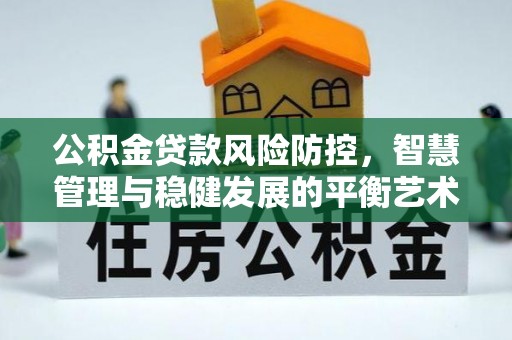 衡南公积金贷款风险防控，智慧管理与稳健发展的平衡艺术