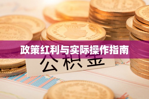 衡南政策红利与实际操作指南