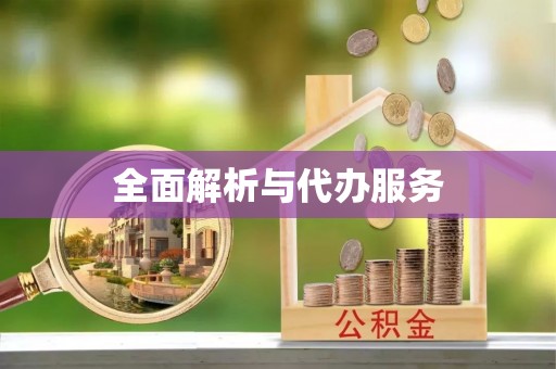 衡南全面解析与代办服务