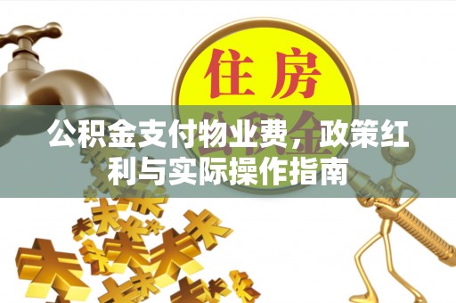 衡南公积金支付物业费，政策红利与实际操作指南