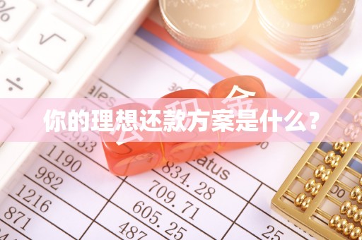 衡南你的理想还款方案是什么？