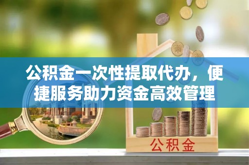 衡南公积金一次性提取代办，便捷服务助力资金高效管理