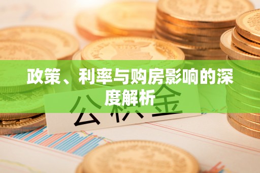 衡南政策、利率与购房影响的深度解析