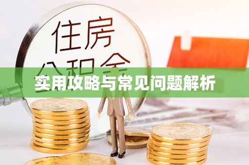 衡南实用攻略与常见问题解析