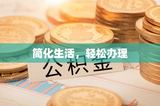衡南简化生活，轻松办理