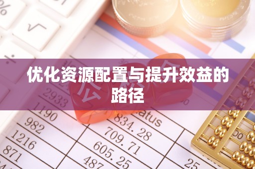 衡南优化资源配置与提升效益的路径