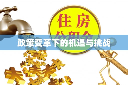 衡南政策变革下的机遇与挑战