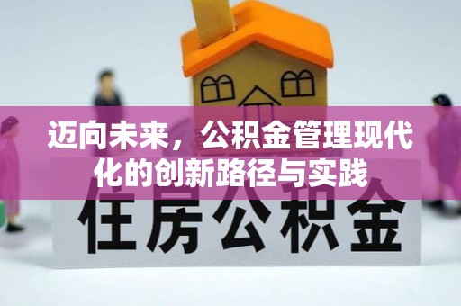 衡南迈向未来，公积金管理现代化的创新路径与实践