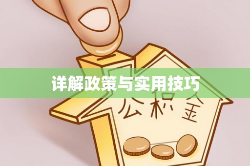 衡南详解政策与实用技巧