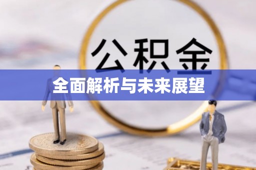衡南全面解析与未来展望