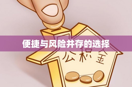 衡南便捷与风险并存的选择