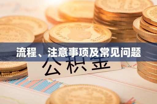 衡南流程、注意事项及常见问题