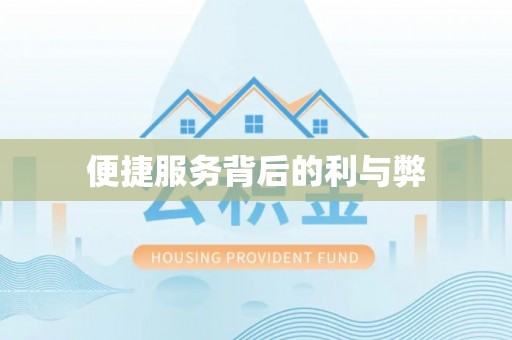 衡南便捷服务背后的利与弊