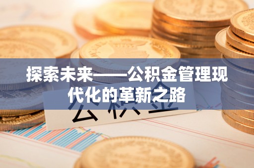 衡南探索未来——公积金管理现代化的革新之路