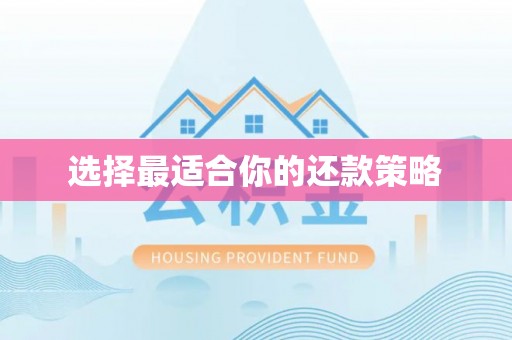 衡南选择最适合你的还款策略