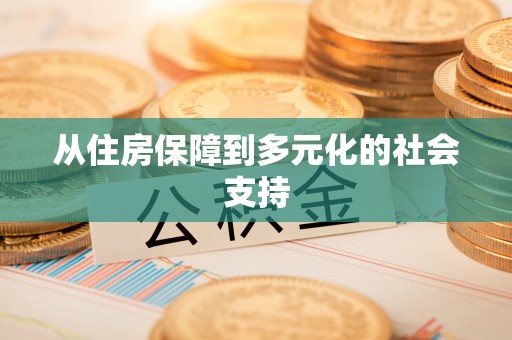 衡南从住房保障到多元化的社会支持