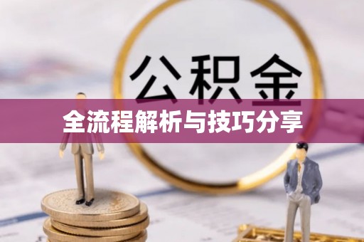 衡南全流程解析与技巧分享