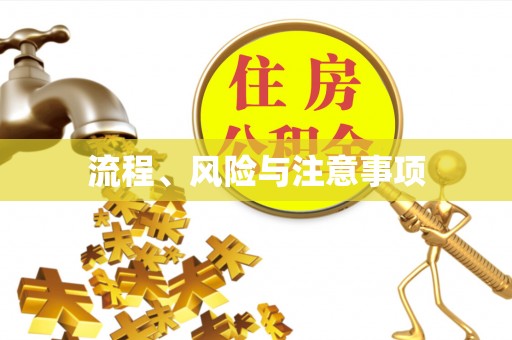 衡南流程、风险与注意事项