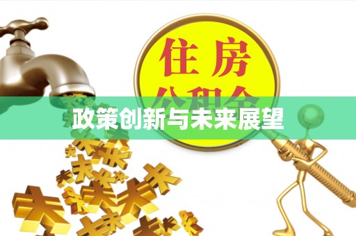 衡南政策创新与未来展望
