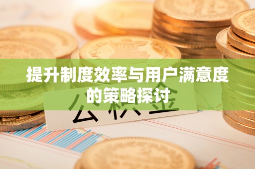 衡南提升制度效率与用户满意度的策略探讨