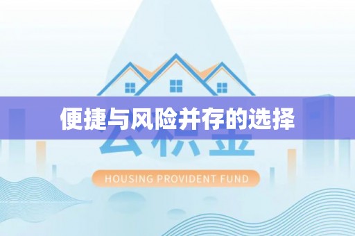 衡南便捷与风险并存的选择